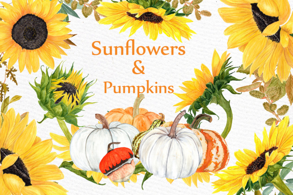 Watercolor Sunflower Clipart: Vibrant Autumn Design Assets